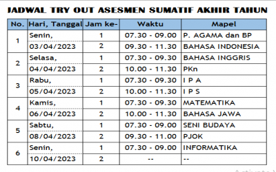 TRY OUT ASESMEN SUMATIF AKHIR TAHUN KELAS IX TINGKAT KABUPATEN TAHUN 2023